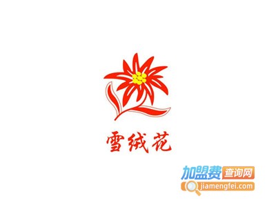 雪绒花培训加盟费