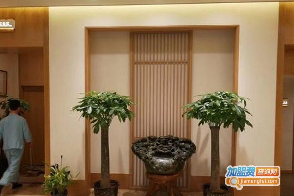 艾仲医养生馆加盟费