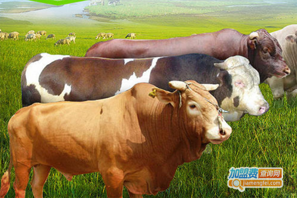 牧旺养殖加盟费