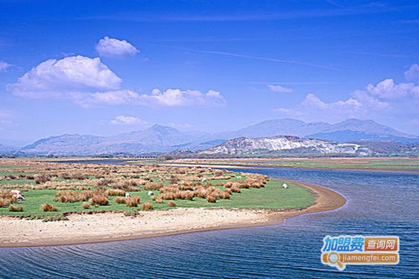 百川会全景画加盟费