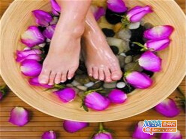 清风贵足加盟费