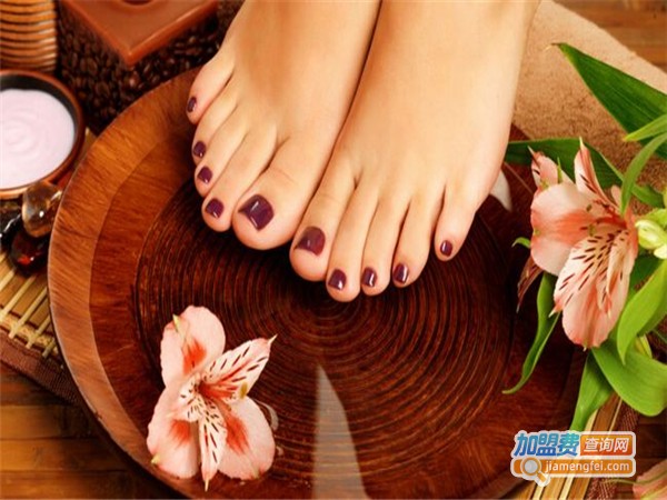 清风贵足加盟费