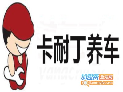 卡耐丁养车