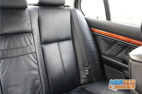 舒尼尔智能汽车坐垫·