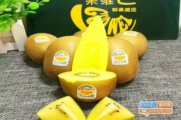 鲜果速送加盟门店