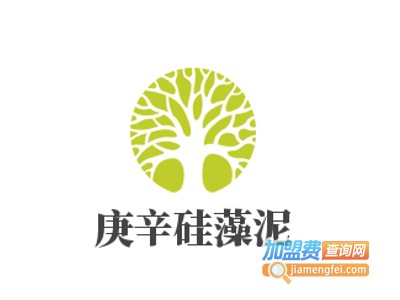 庚辛硅藻泥加盟费
