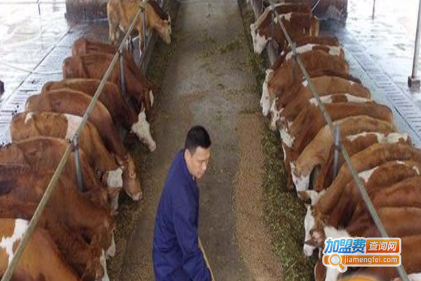 牧旺养殖加盟费