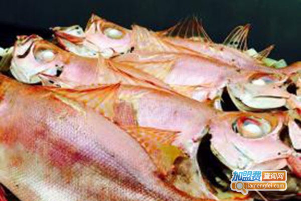 游不走的鱼潮派鱼饭加盟门店