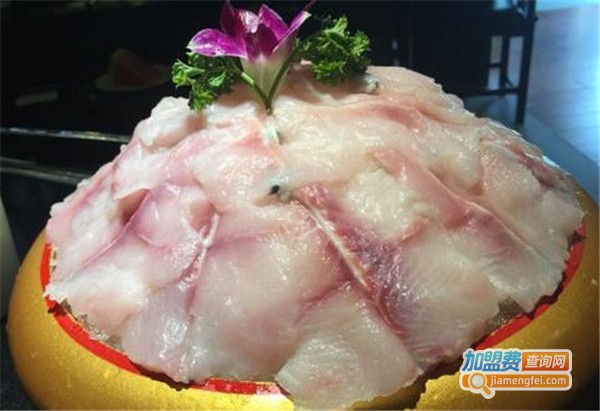 煲盛宫锅物料理加盟费