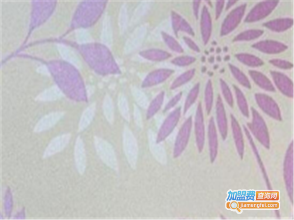 万欧彩粒漆加盟