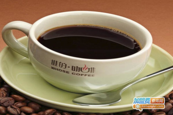 赛朵灯饰加盟费