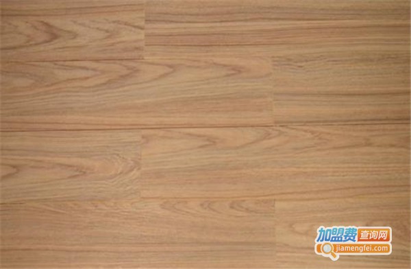 奥菱快热地板加盟费