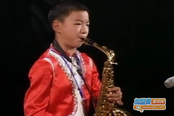 笨鸟乐器培训加盟费