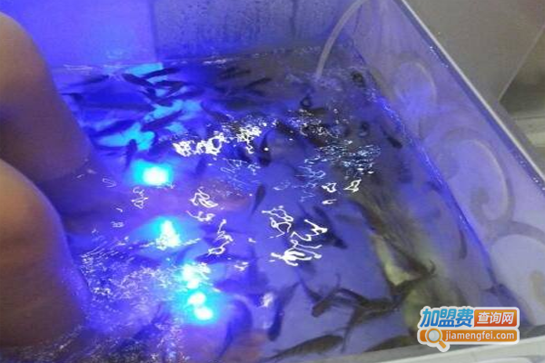 小魔鱼养生会所加盟费