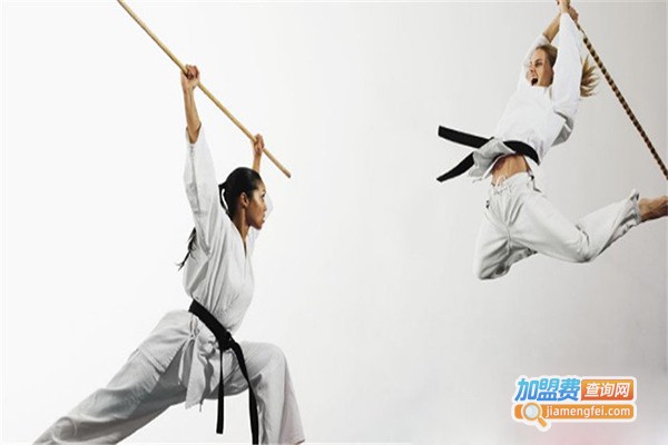 武术世家培训加盟门店