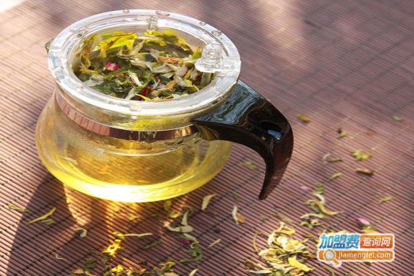 金线莲养肝茶加盟
