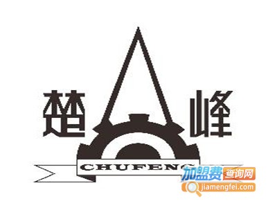 楚峰教育加盟费