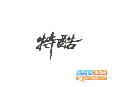 特酷旱冰鞋