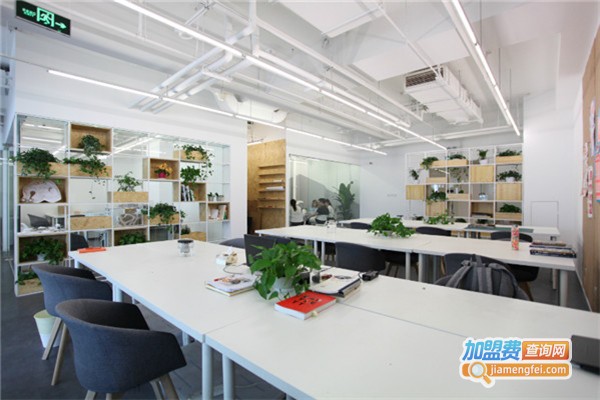 小百合艺术教育加盟费