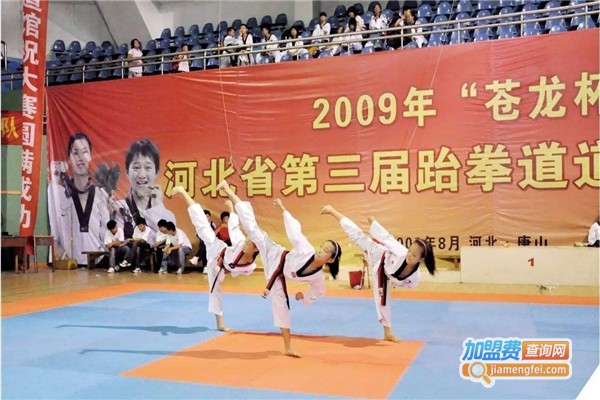 苍龙跆拳道加盟费