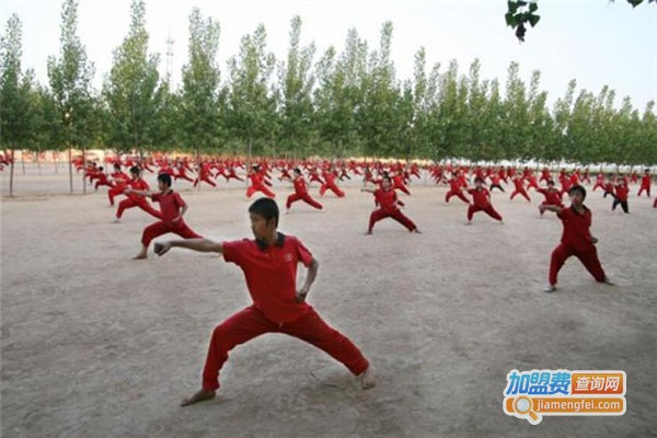 武术世家培训加盟门店