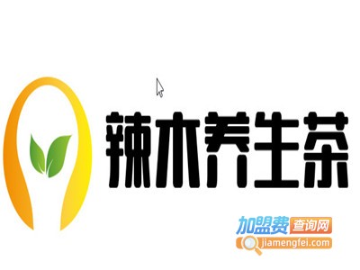 辣木养生茶