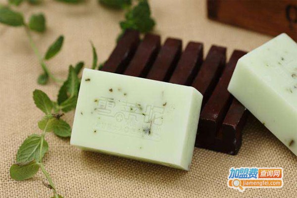 雪莱昵手工皂加盟费