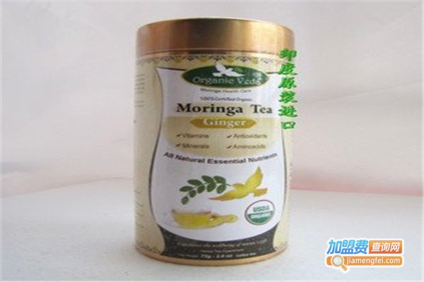 辣木养生茶加盟费