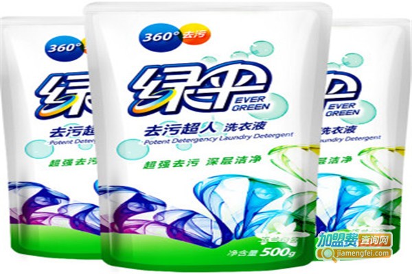 绿伞洗衣加盟费