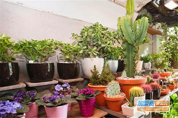 花哩花店加盟费