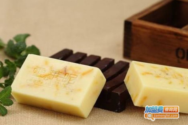 雪莱昵手工皂加盟费