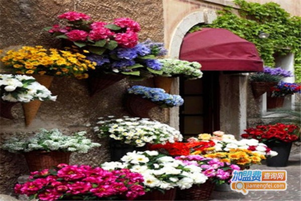 花哩花店加盟费