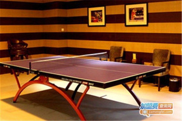 东方翔烨乒乓球教育加盟费