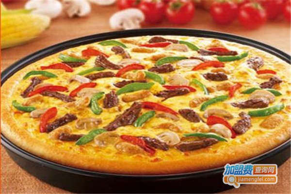 彼德比萨加盟费