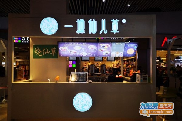 一棵仙儿草加盟费