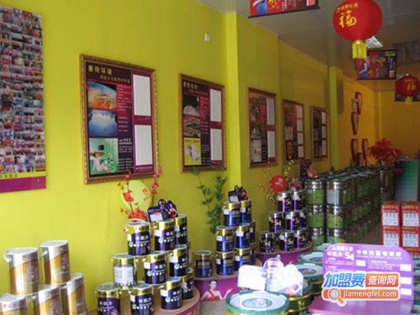 德孚莱涂料加盟费