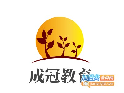 成冠教育加盟费