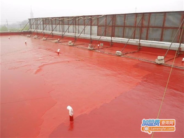 厦尔美涂料加盟费