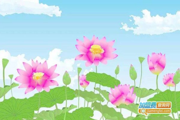 晨风教育加盟费