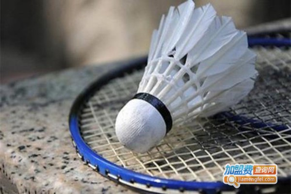 夫子羽毛球教育加盟门店