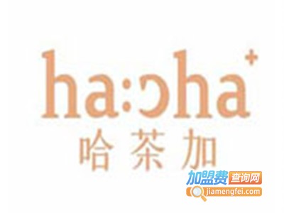 哈茶加奶茶