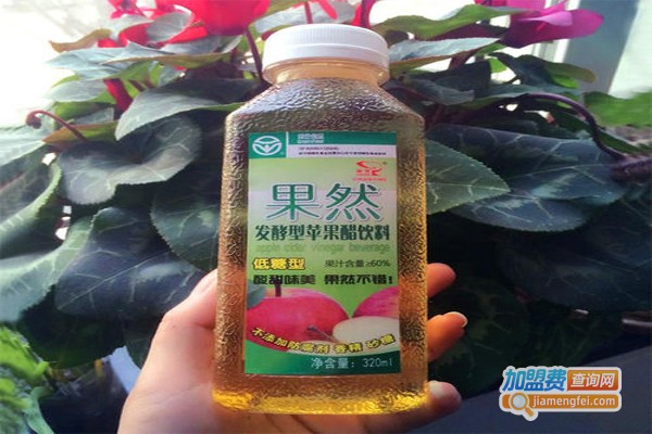 果然牌苹果醋