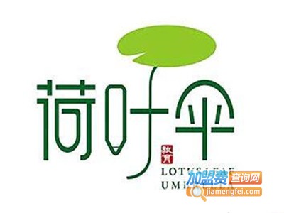 荷叶伞教育加盟费