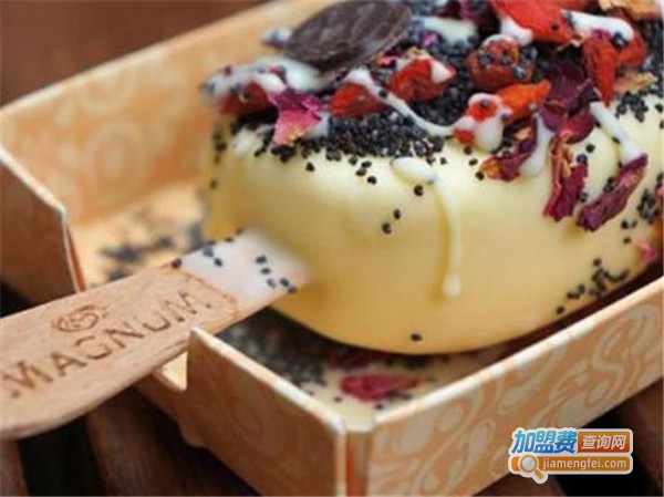 magnum雪糕加盟费