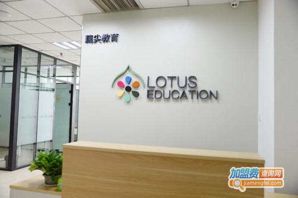 藕尖教育加盟费