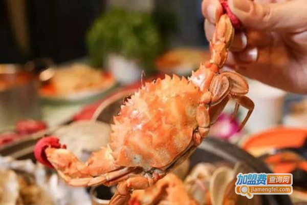 南洋荟萃海鲜蒸汽火锅加盟费