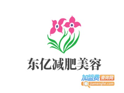 东亿减肥美容加盟费