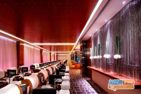 纤纤秀美容会所加盟