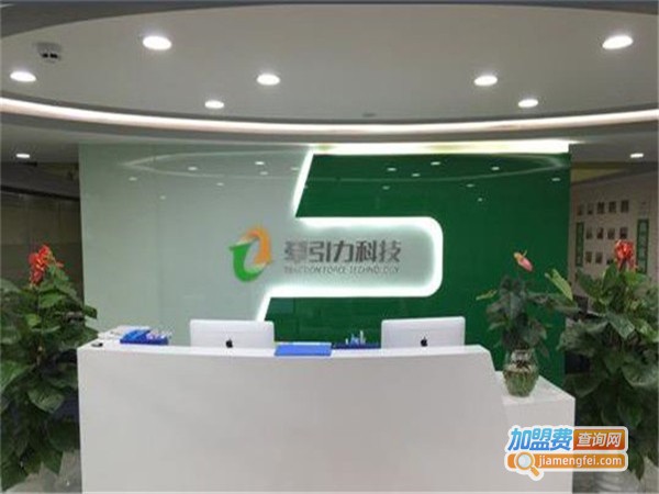 牵引力教育加盟费