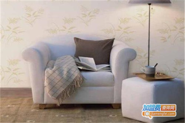 帝伦嘉艺术涂料加盟费